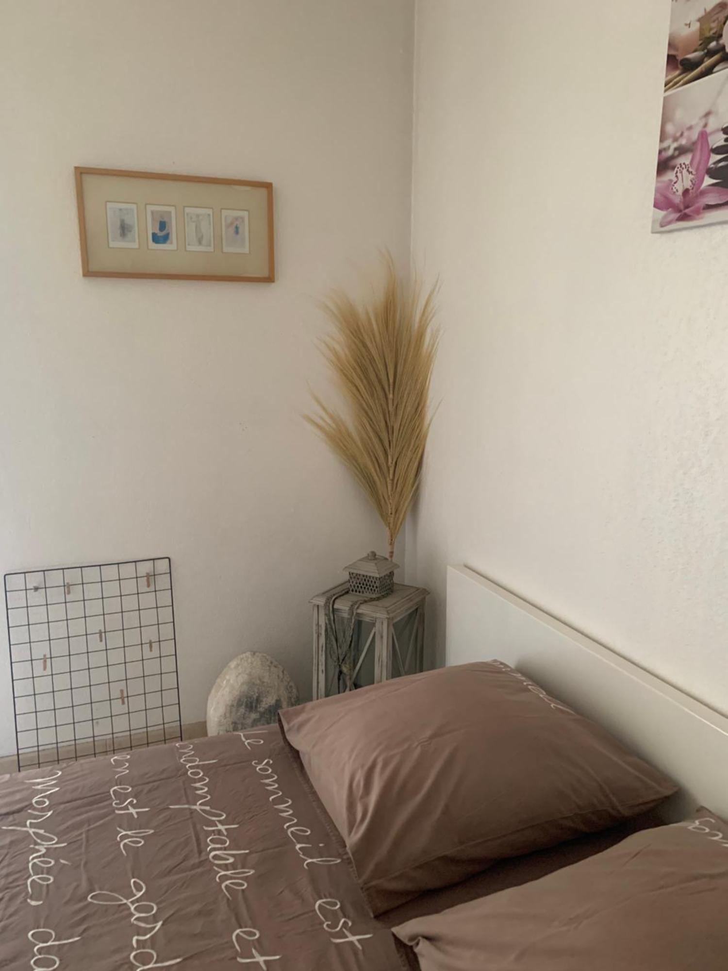 Apartamento Votre Sejour Cosy A Frejus! Exterior foto